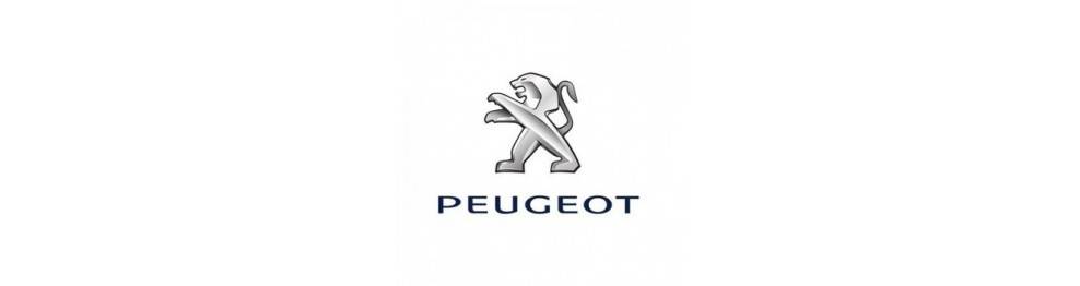 Stierače Peugeot 307 Break/SW [T5] Okt.2004 - Máj 2005